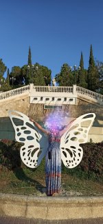 IMG_20250824_091152.jpg