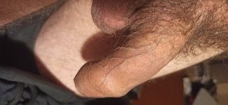 IMG_20250825_011122.jpg