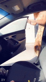 Carrie Emberlyn ezgif-1-3ab8e2c915.gif