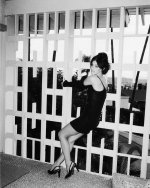 IMG_7267.jpeg