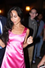 Zoë Kravitz Nipple Pokies in a Pink Dress 3.jpg
