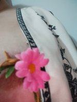 IMG20250831061742.jpg