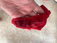 IMG_2063.jpeg