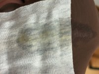 IMG_1607.jpeg