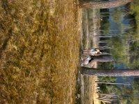 20250809_024044.jpg