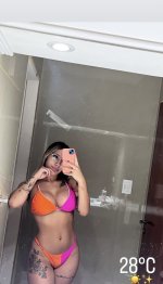 IMG_2544.jpeg