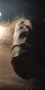 Sin título 3.png