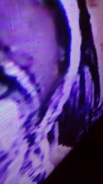 IMG_20180705_193109.jpg