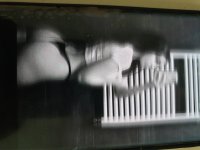 20250918_162135.jpg