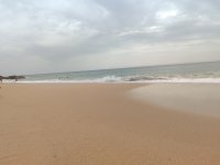 IMG_20250920_164731.jpg