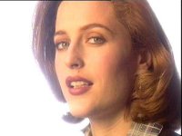 gill-340.jpg