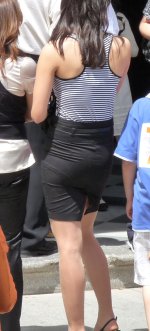 Vestibodamio.jpg