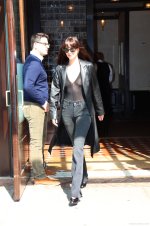 dakota-johnson-nipples.jpg