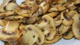 Champiñon.jpg
