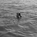 IMG_4618.jpeg