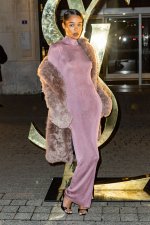 lauraharrierseethroughdresspfw53.jpg
