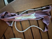 IMG_9519.jpeg