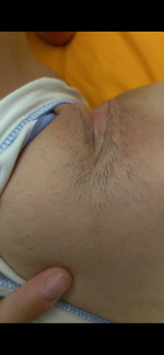 IMG_3431.png