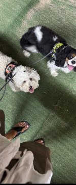 IMG_3440.jpeg