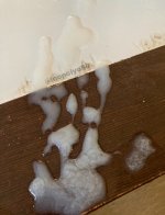 B8890056-48C6-400B-9F2E-88C0574AF73B.jpeg