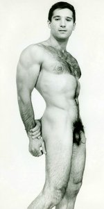 tumblr_ok78poZ7H61u847o0o1_500.jpg