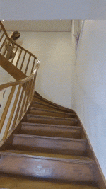 Carla stairs 2 ezgif-2-3dc4404b29.gif