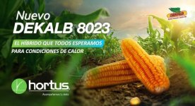 Hortus_20250129162854_BANNERWEBDEKALB8023.jpg
