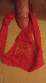 IMG_20250423_040509.jpg