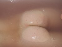 34091 (7236).jpg