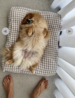 IMG_3678.jpeg