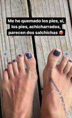 IMG_3686.jpeg