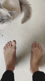 IMG_3738.jpeg