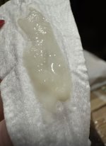 IMG_3823.jpeg