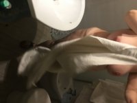IMG_5908.jpeg
