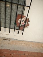 IMG_20251012_122510.jpg