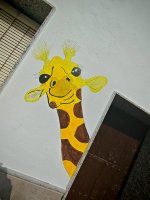 IMG_20251012_121247.jpg