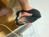 IMG_2633.jpeg