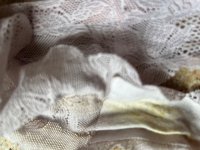 IMG_9650.jpeg
