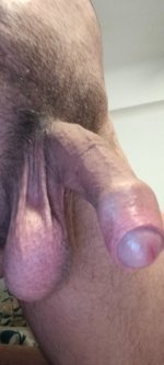 IMG20251027151505.jpg
