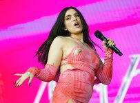 mae muller nipple from birmingham concert 12.jpg