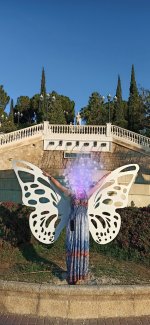 IMG_20251115_194615.jpg IMG_20251115_194615.jpg