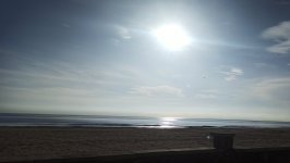 IMG_20251117_123546.jpg IMG_20251117_123546.jpg