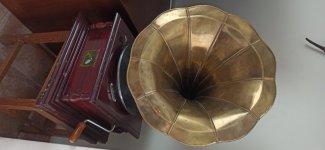 IMG_20250309_151709.jpg IMG_20250309_151709.jpg