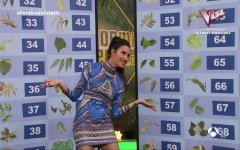 0212223155DVB-Tantena3HD.jpg