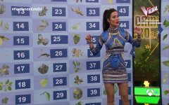 0212223300DVB-Tantena3HD.jpg