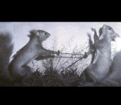 Screenshot_2025-12-02-12-56-18-991_com.android.chrome-edit.jpg Screenshot_2025-12-02-12-56-18-991_com.android.chrome-edit.jpg