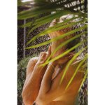 @alessandraambrosio by @cameron_hammond for @lavarice_ 🧜_♀️ (9).jpg