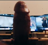 IMG_20251109_163518.jpg IMG_20251109_163518.jpg