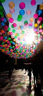 IMG_20251204_204000.jpg IMG_20251204_204000.jpg