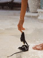 Alessandra for @lavarice_ (13).jpg